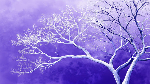 Purple Starry Tree Mural Wallpaper | Modern Dreamy Decoration