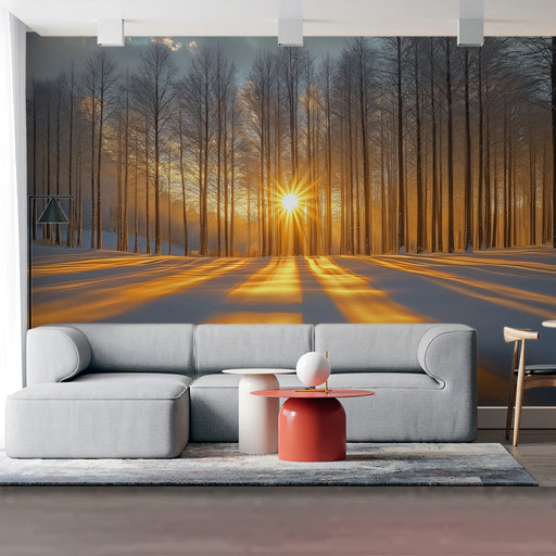 Snowy Forest Sunray Mural Wallpaper | Serene Natural Decoration