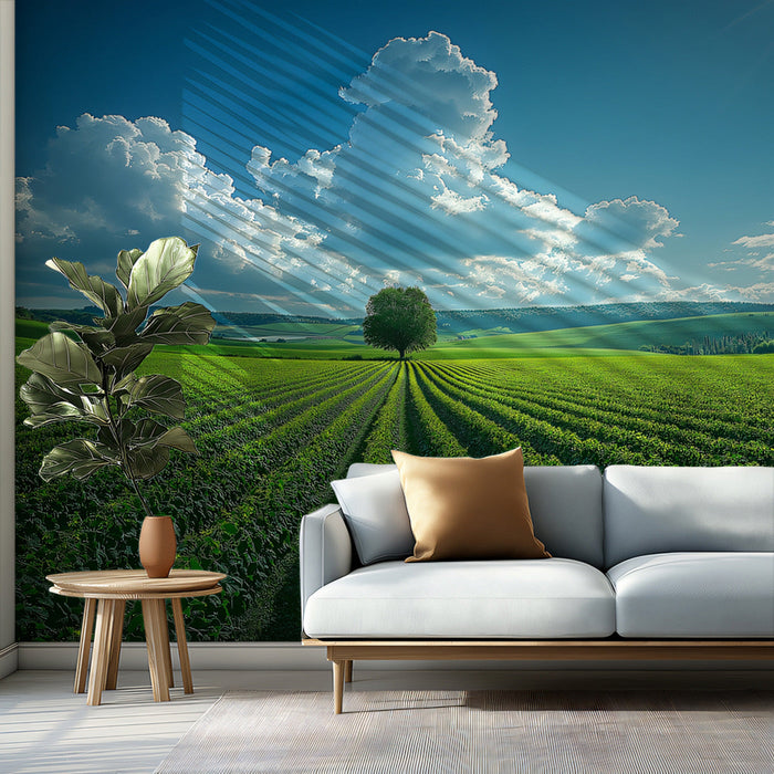 Single Tree Vineyard Mural Wallpaper | Tranquil Natural Decoration