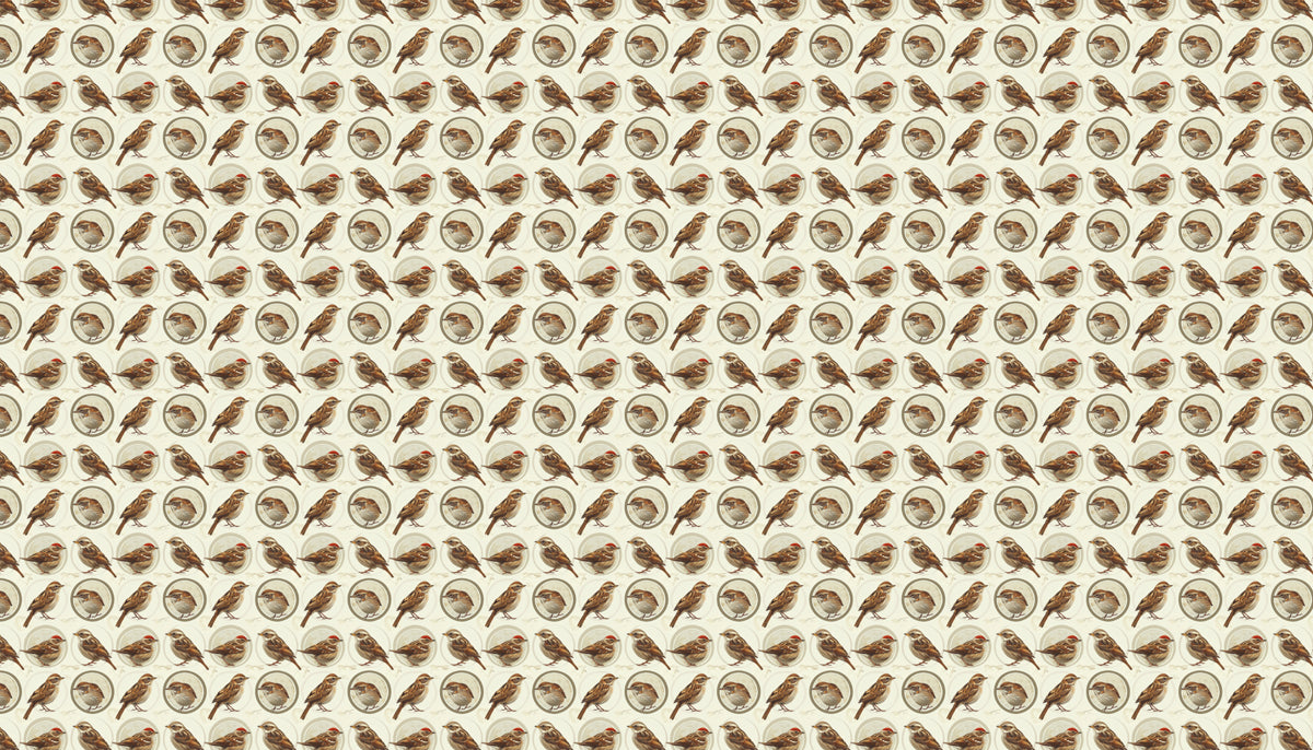 Ornate Bird Medallion Mural Wallpaper | Classic & Detailed