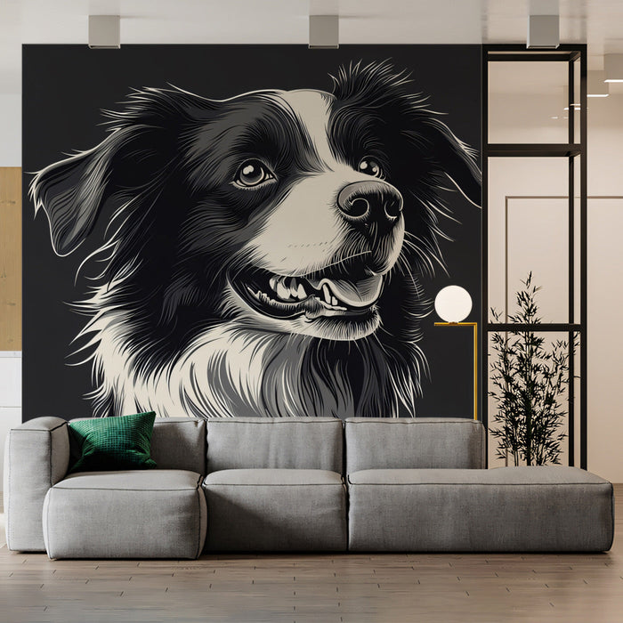 Border Collie Brilliance Mural Wallpaper | Black, White