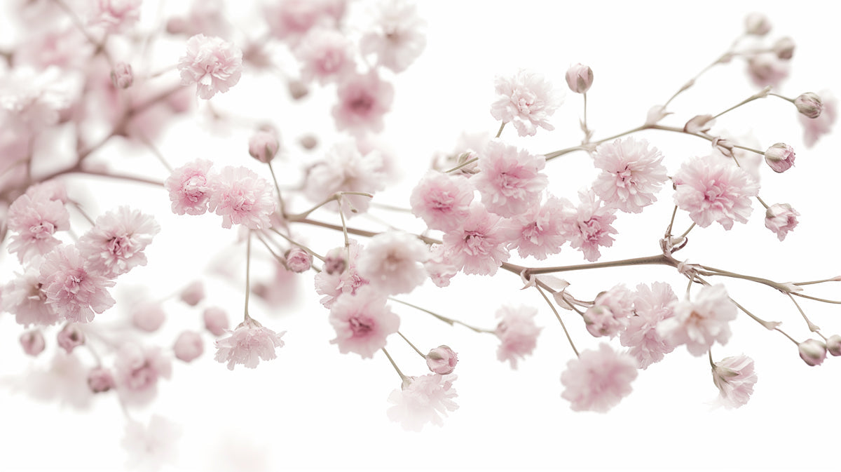 Peel and Stick Wallpaper vs Prepasted Wallpaper: Which Is Better for Your Walls?