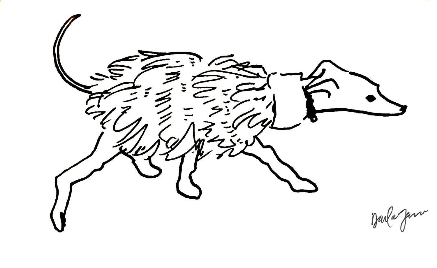 Shaggy Hound – Ink Line Animal Study