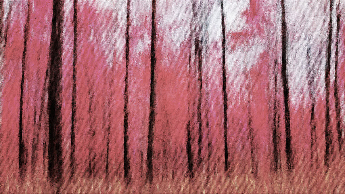 Abstract Pink Forest Oil Painting Mural Wallpaper | Vertical Motion Blur, Dark Trunks, Expressionist Texture
