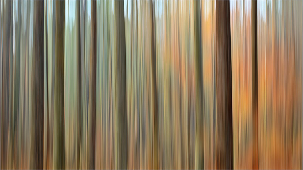 Vertical Autumn Woods Blur Mural Wallpaper | Motion Blur Photography, Earth Tones, Abstract Woods
