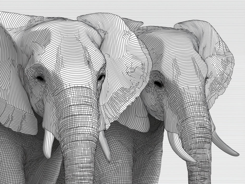 Line Art Elephant Portrait Monochromatic Wildlife Mural Wallpaper | Black White Etching, Intricate Linework
