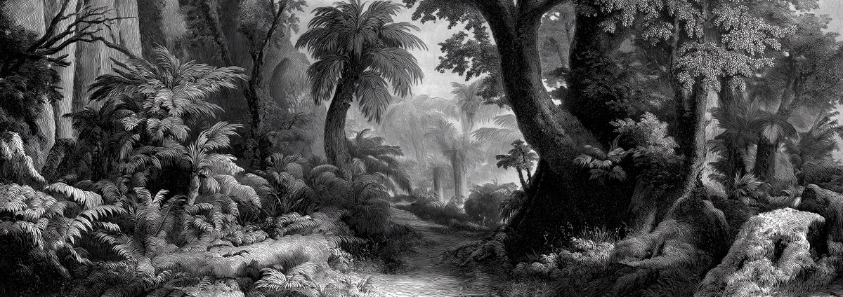 Vintage Jungle Expedition Mural Wallpaper | 18th Century Engraving Style