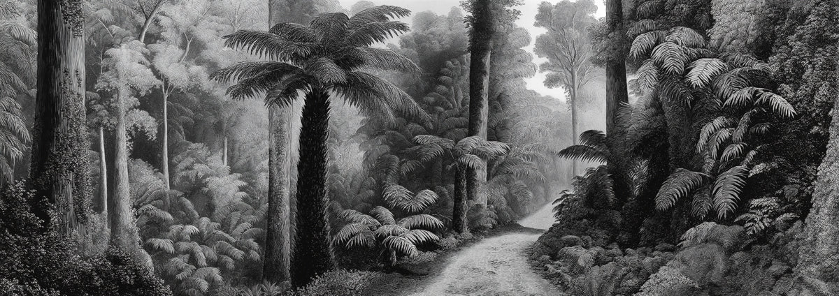 Majestic Rainforest Path Mural Wallpaper | Antique Monochrome Forest