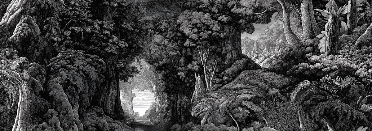 Wilderness Landscape Etching Mural Wallpaper | Panoramic Forest View