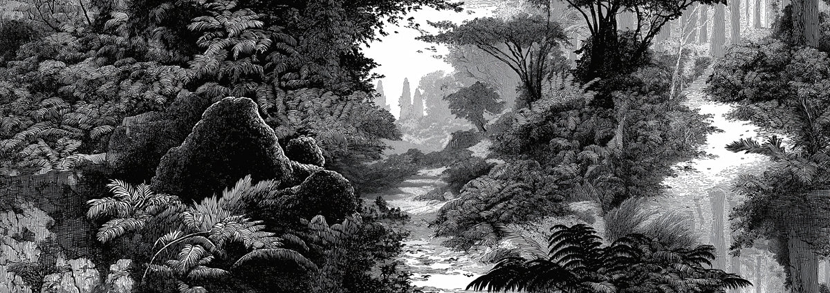 Enchanted Woodland Stream Mural Wallpaper | Vintage Nature Scene