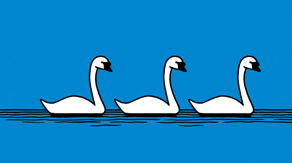 Pop Art Swans Mural Wallpaper | Bold Comic Style