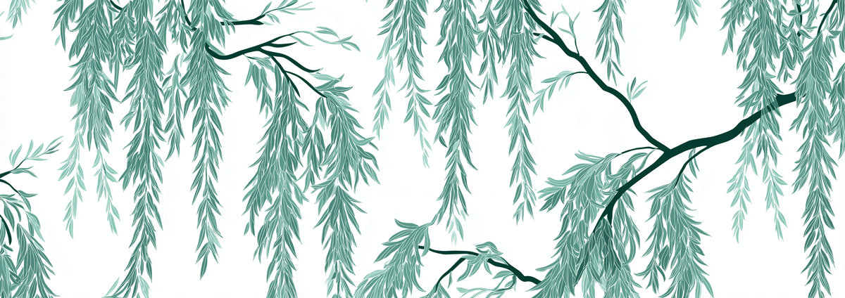 Cascading Willow Branches Mural Wallpaper | Green Botanical Art