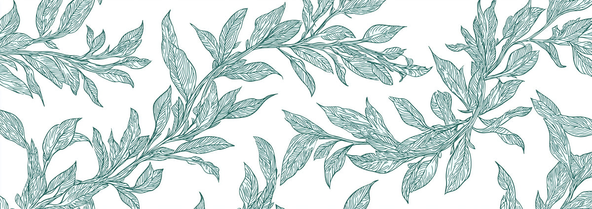 Flowing Green Vines Mural Wallpaper | Airy Botanical Sketch