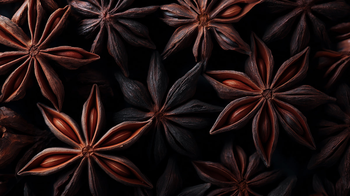 Dark Star Anise Macro Photography Texture Mural Wallpaper | Rustic Spice Art