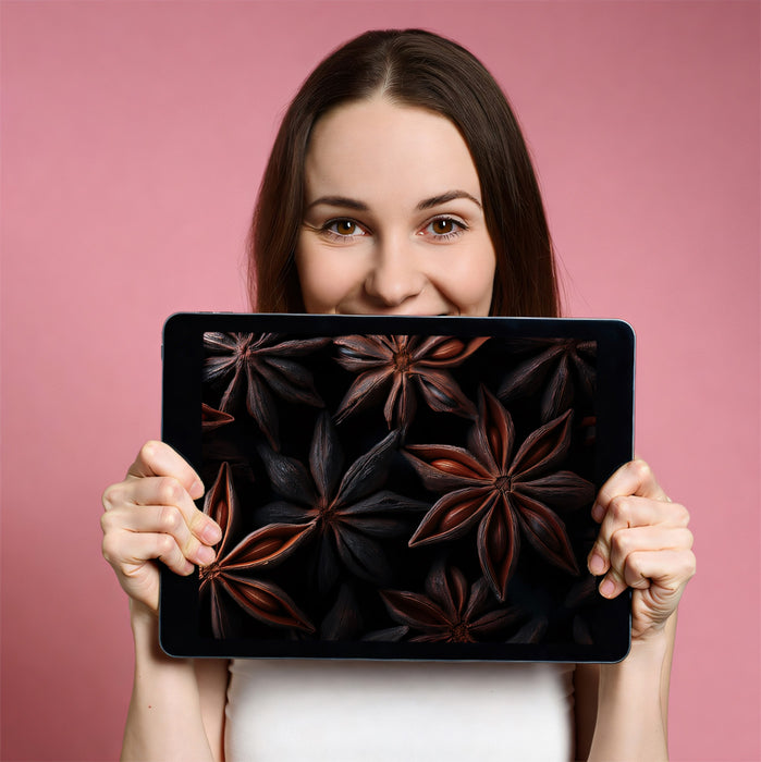 Dark Star Anise Macro Photography Texture Mural Wallpaper | Rustic Spice Art