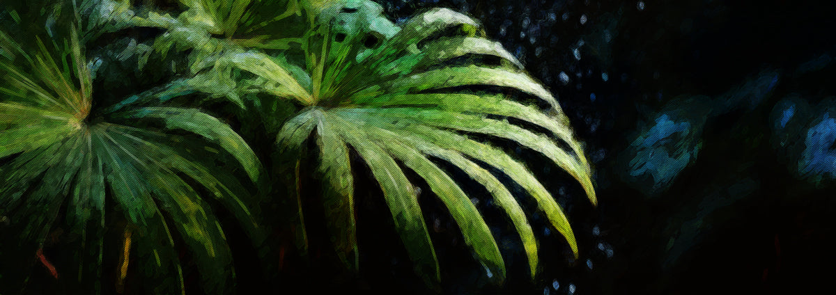 Tropical Palm Leaves Dark Green Texture Mural Wallpaper | Moody Botanical Art