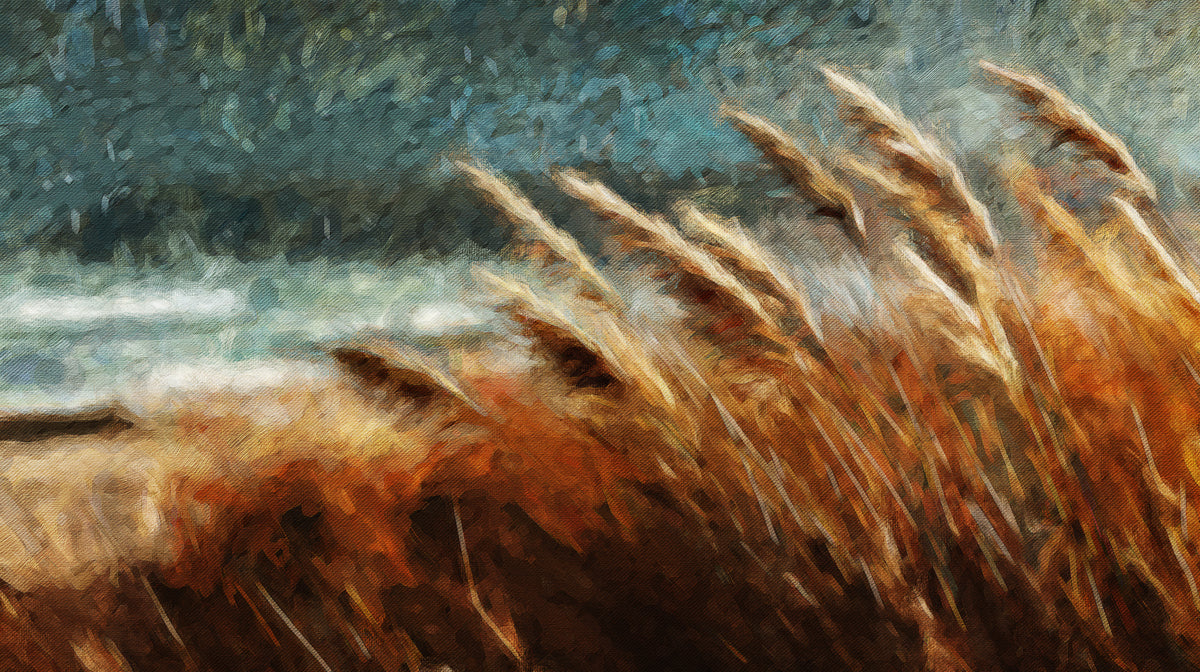 Impressionist Golden Grass Field Oil Painting Mural Wallpaper | Textured Nature Art