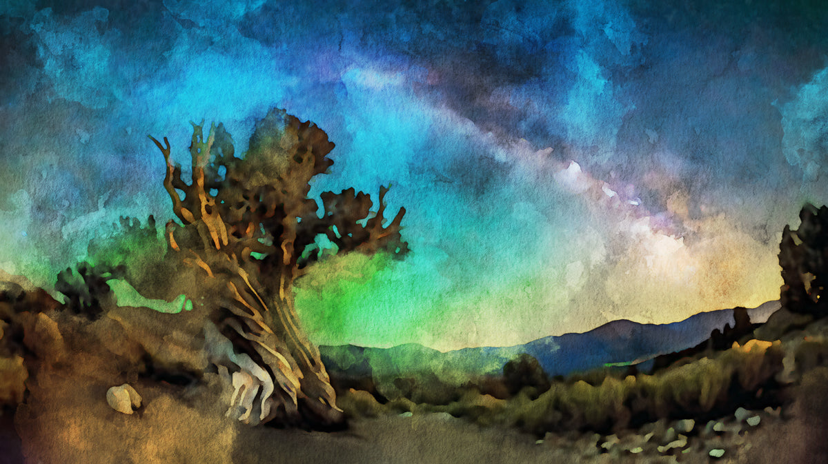 Watercolor Old Tree Starry Night Sky Mural Wallpaper | Artistic Landscape