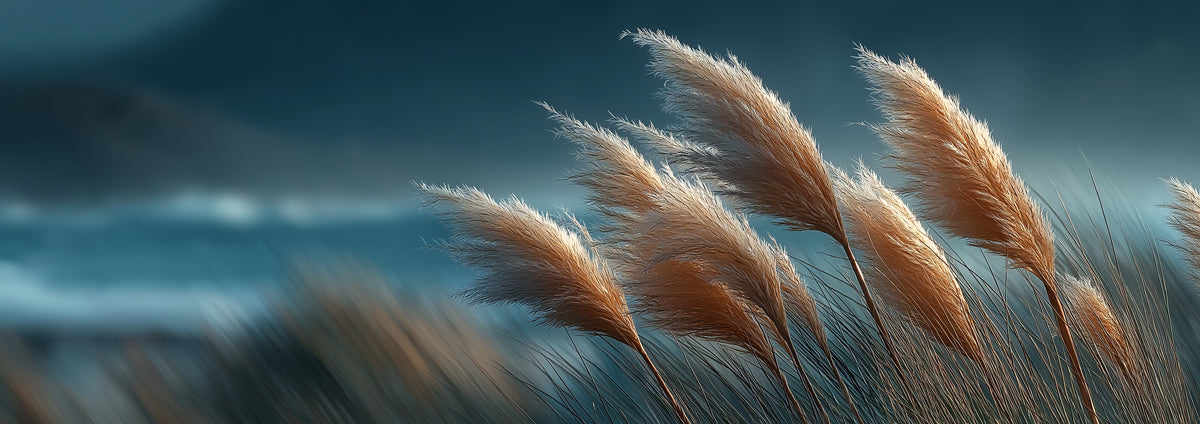 Moody Cinematic Pampas Grass Mural | Soft Texture Dark Blue Landscape