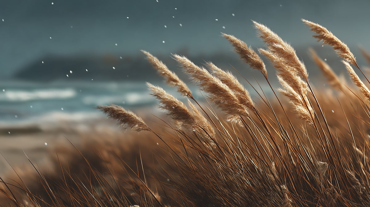 Coastal Feathery Reed Grass Mural | Serene Beach Nature Wallpaper