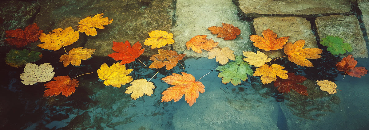 Autumn Maple Leaves on Stone Mural | Calm Nature Reflection Wallpaper