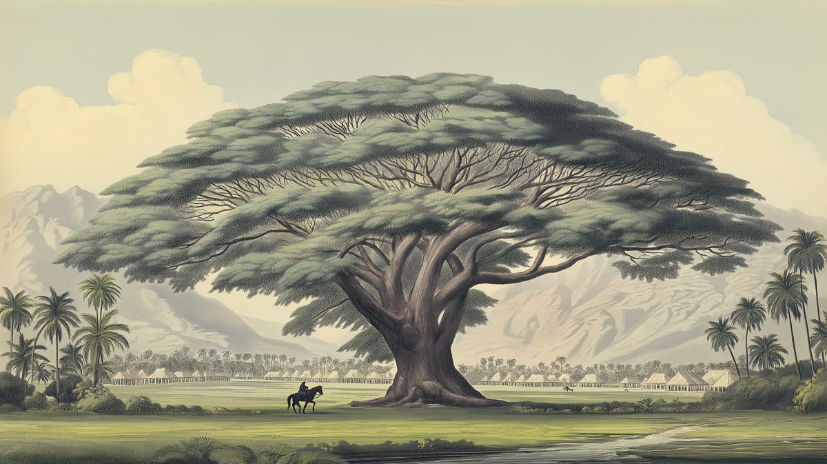 Majestic Giant Ancient Banyan Tree Mural | Vintage Rural Landscape Art Wallpaper