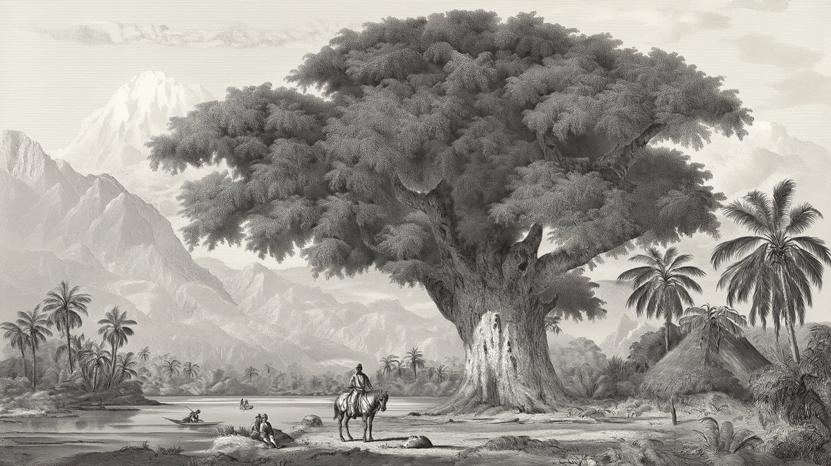 Vintage Banyan Under the Peaks Mural - Monochrome Etching Style Landscape