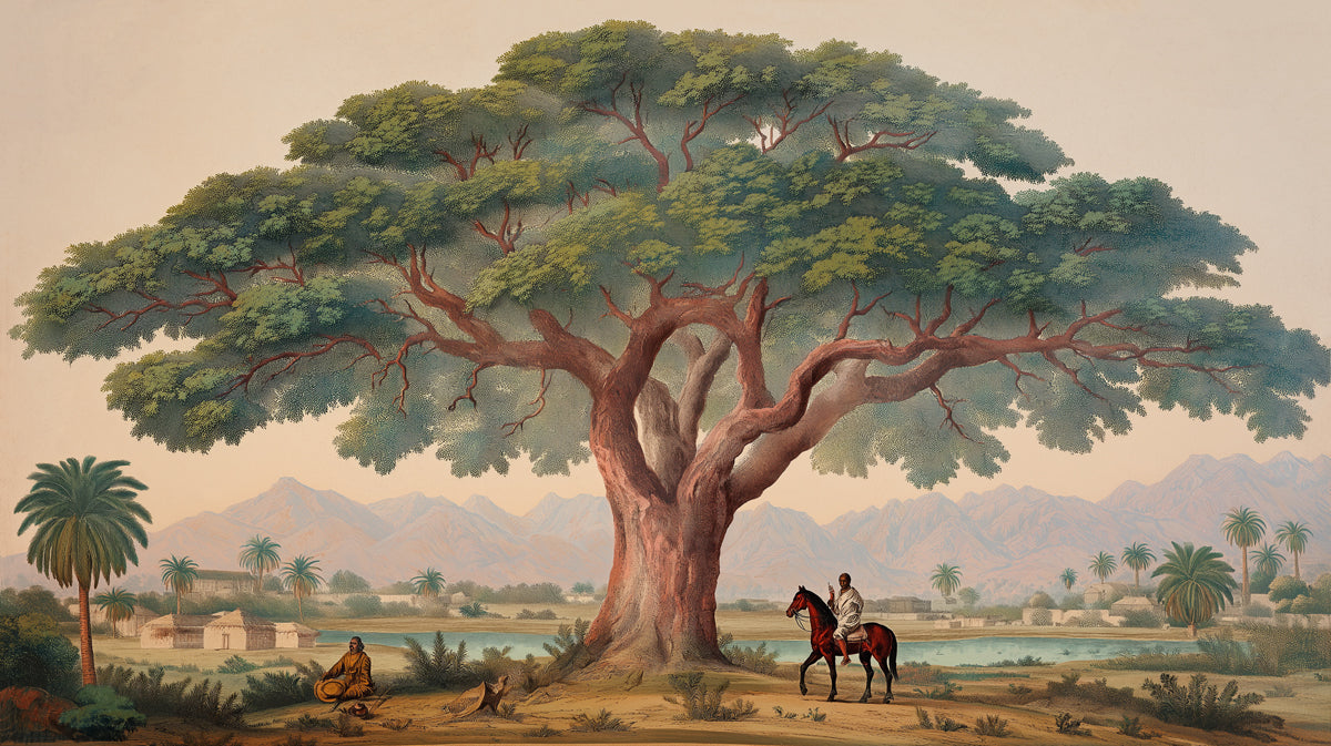 Majestic Acacia Tree with Rider Mural - Vintage African Savanna Art