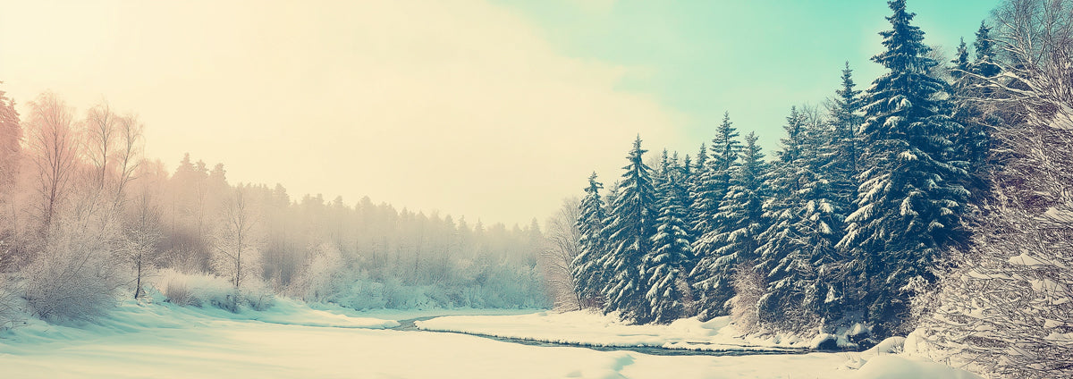 Sunny Winter Forest Panorama and Snowy Stream Wall Mural Wallpaper