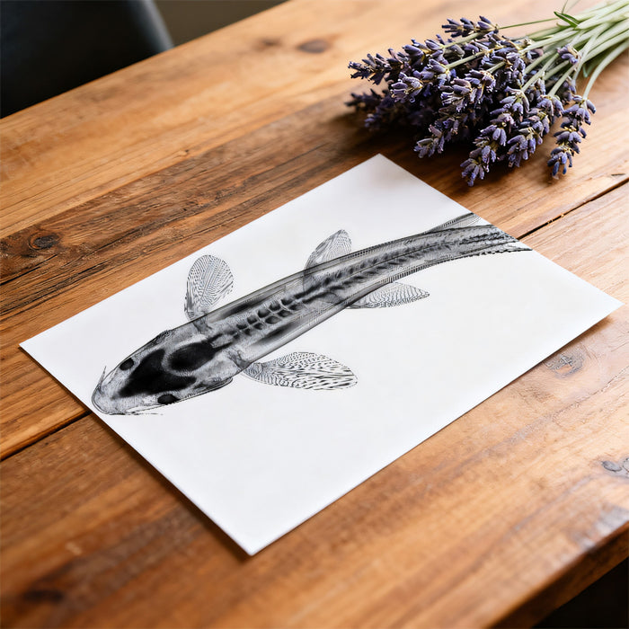 Scientific X-Ray Koi Anatomy Wall Mural | Modern Industrial Minimalism & Unique Biological Art