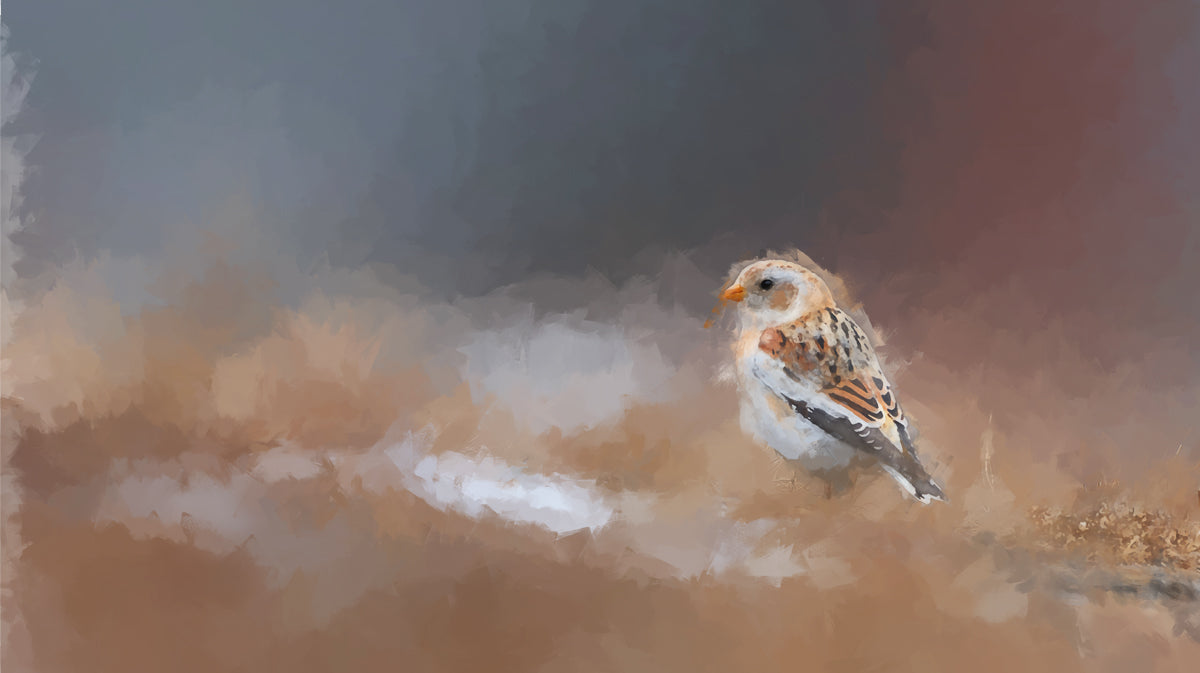 Snow Bunting Impressionist Sketch Wall Mural | Delicate Winter Bird & Serene Muted Earth Tones