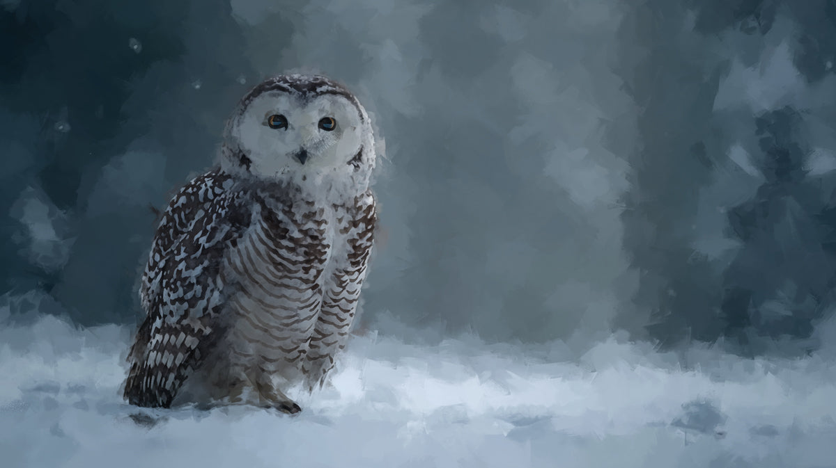 Painted Snowy Owl - Winter Wildlife Art Mural