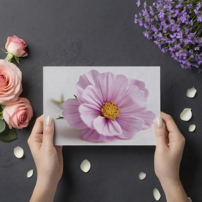 Soft Pink Cosmos Flower - Minimalist Macro Photography Mural