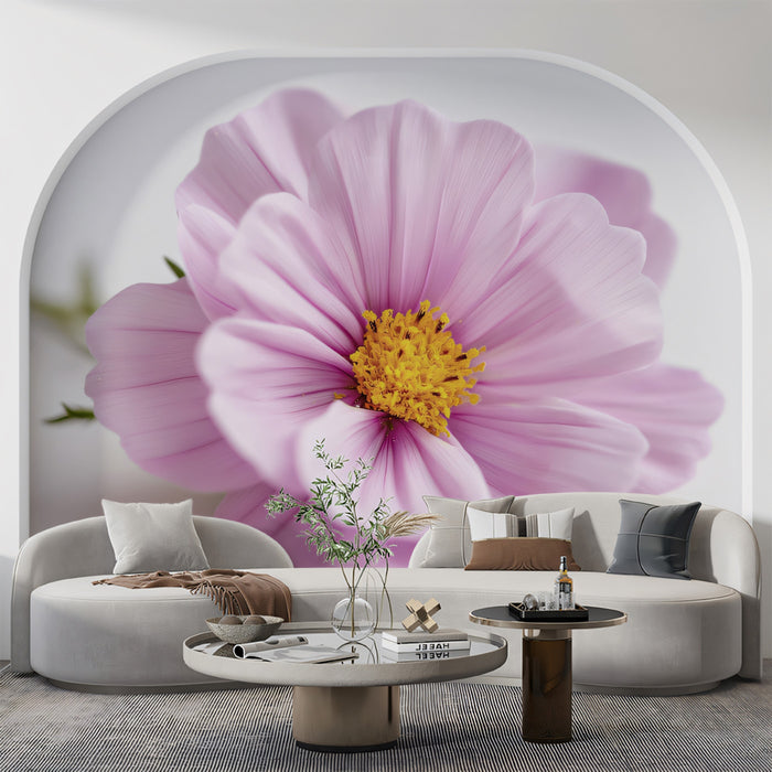 Soft Pink Cosmos Flower - Minimalist Macro Photography Mural