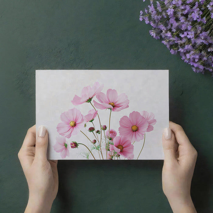 Fresh Pink Cosmos Bouquet White Background Mural