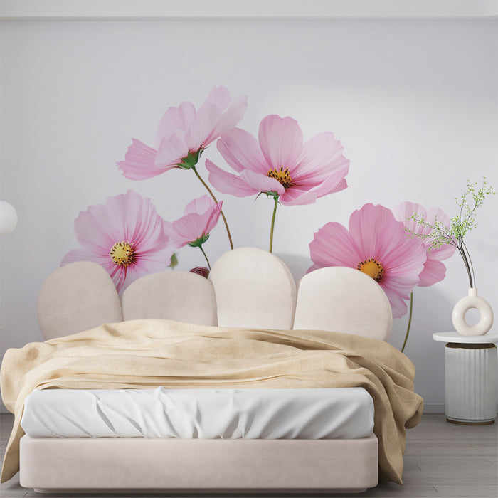 Fresh Pink Cosmos Bouquet White Background Mural