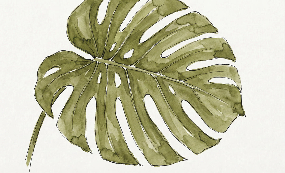 Minimalist Monstera Leaf Wallpaper, Watercolor Botanical Wall Mural, Sage Green Japandi Nature Decor for Bedroom