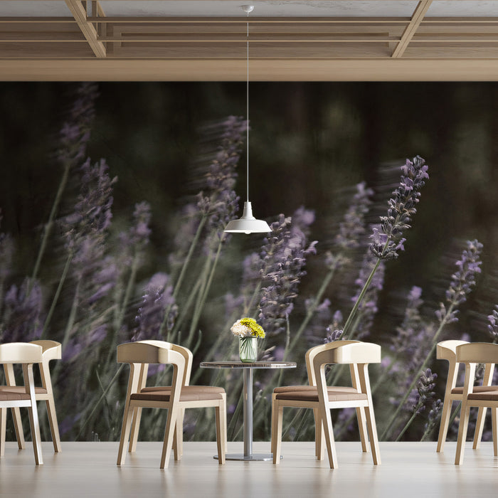 Lavender Field Wallpaper, Romantic Purple Flower Wall Mural, Soft Focus Nature Decor for Wellness Spa