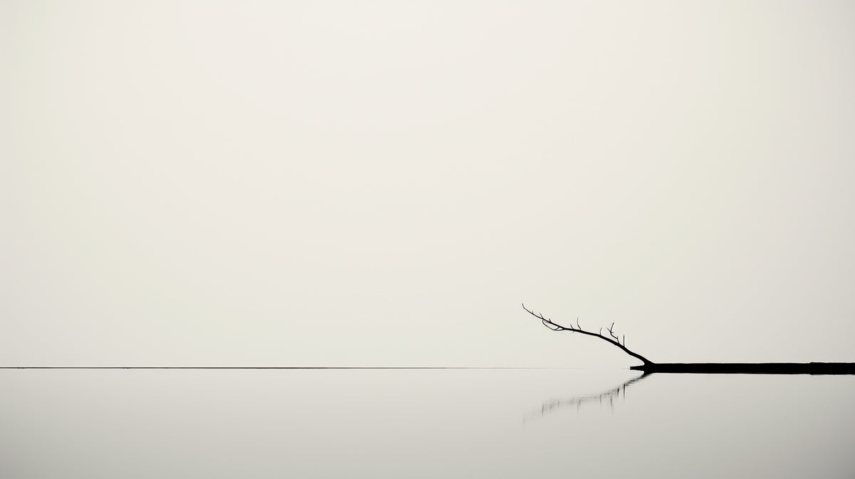 Minimalist Zen Mural Wallpaper | Silhouette Branch over Water