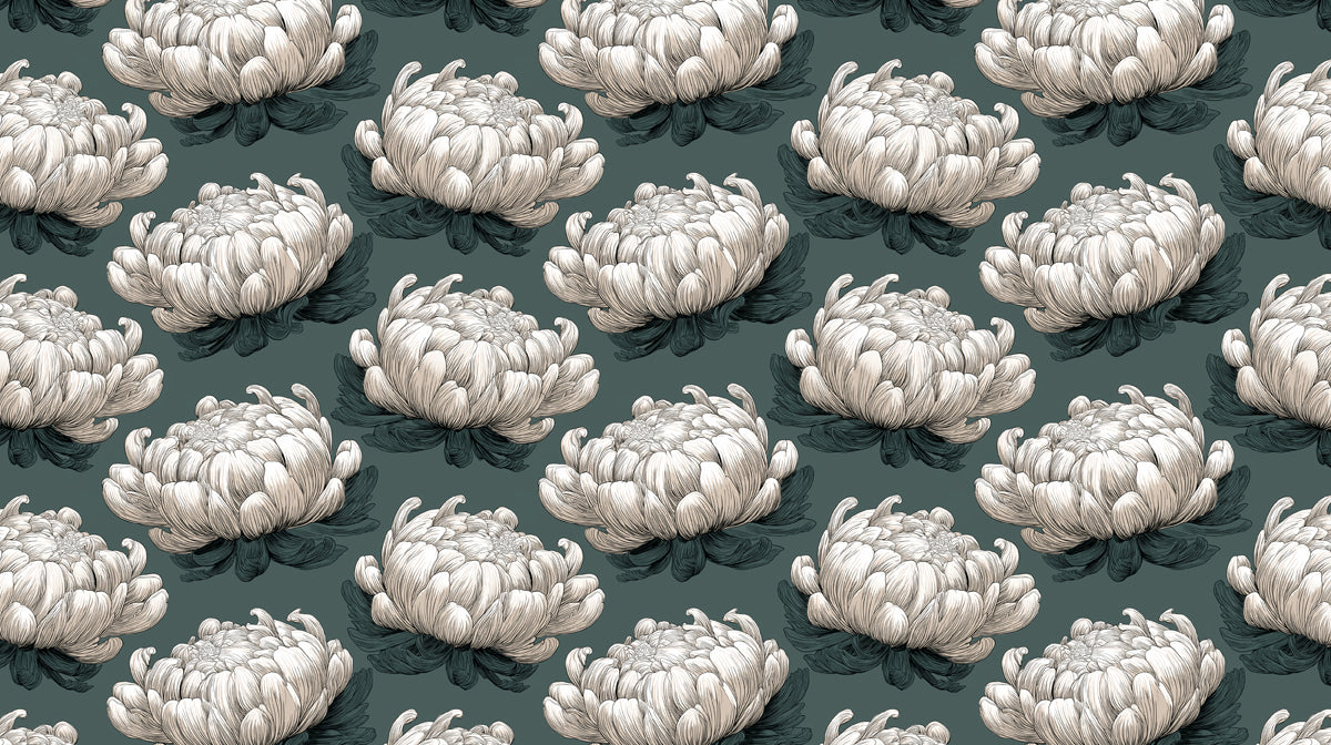 Vintage Botanical Mural Wallpaper | Large White Chrysanthemum
