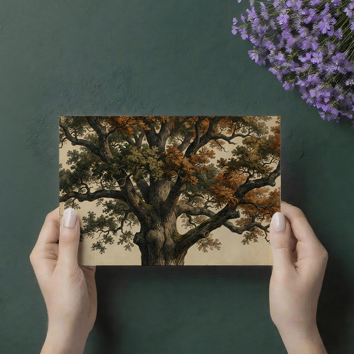 Ancient Oak Tree - Vintage Botanical Illustration Mural