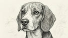 A detailed pen-and-ink sketch of a beagle dog with soft floral line art on a creamy background
