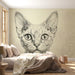Artistic cat portrait wallpaper styled in a contemporary library or study with bookshelf background