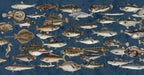 Vintage-style fish illustrations with intricate patterns in ochre and charcoal on a textured navy blue background