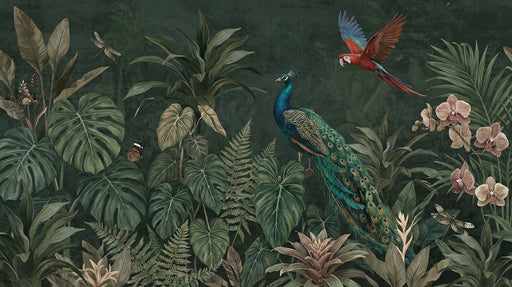Jungle mural wallpaper featuring a peacock, macaw, and tropical orchids on a deep forest green background.