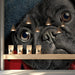 Playful pug portrait wallpaper in a modern entryway, adding personality to the home entrance.