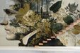 A home library wall decorated with a Renaissance style botanical portrait mural.