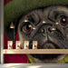 Fun and bright bedroom interior design with a whimsical dog portrait wallpaper behind the headboard