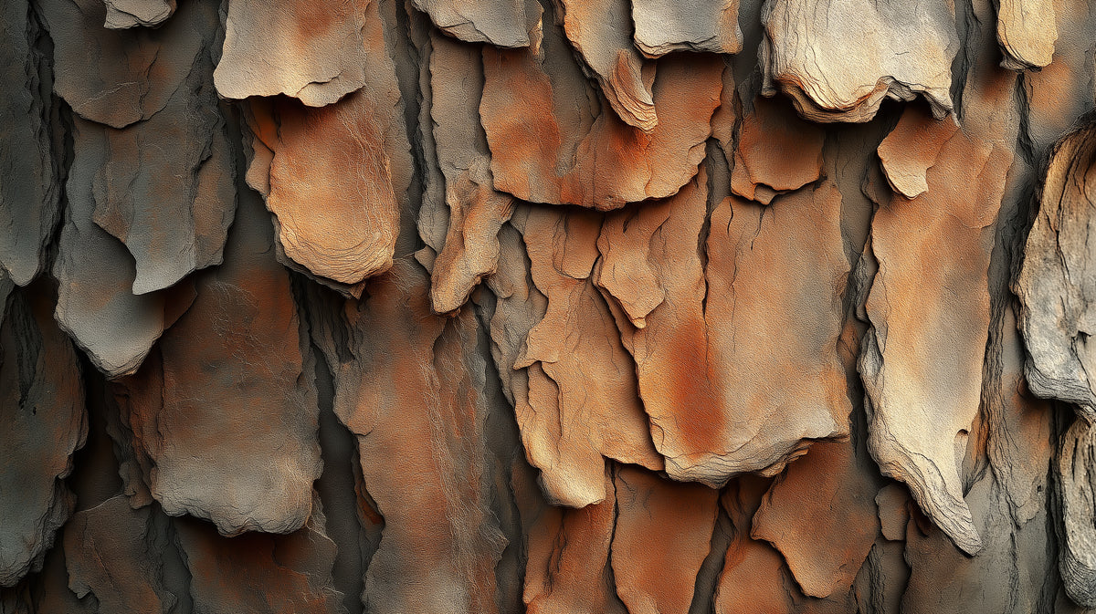 Macro close-up of tree bark pattern with overlapping layers in charcoal, terracotta, and sandy beige tones.