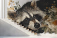A cozy nursery featuring a raccoon and floral wallpaper on the main wall behind a crib